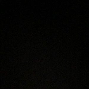 Meet your Posher, Ava